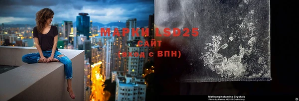 ГАЛЛЮЦИНОГЕННЫЕ ГРИБЫ Белокуриха