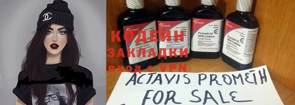 ГАЛЛЮЦИНОГЕННЫЕ ГРИБЫ Белокуриха