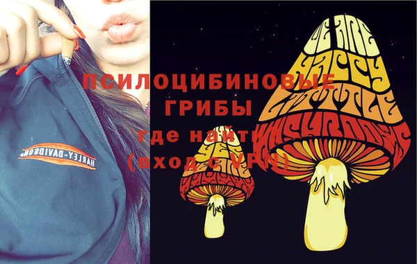 ГАЛЛЮЦИНОГЕННЫЕ ГРИБЫ Белокуриха