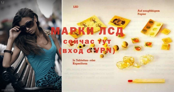 ГАЛЛЮЦИНОГЕННЫЕ ГРИБЫ Белокуриха
