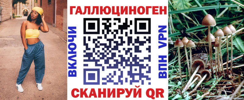 Псилоцибиновые грибы MAGIC MUSHROOMS  купить  цена  Власиха 